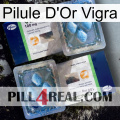 Vigra Gold Pill viagra5